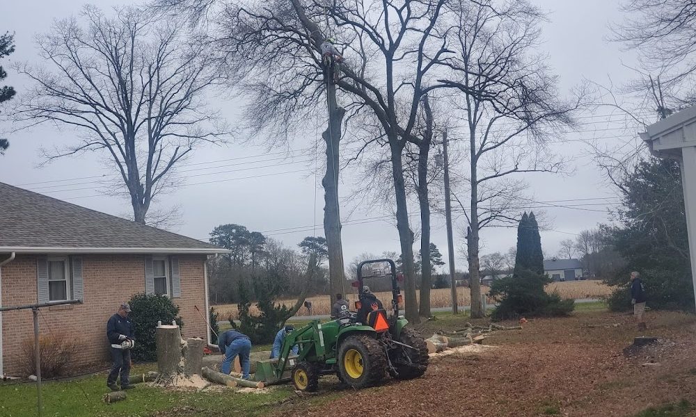Morales Hardscaping & Landscaping LLC | Landscaping Company | Tree Service | Landscaping Near Me | Georgetown DE