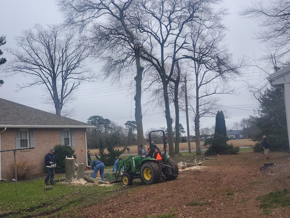 Morales Hardscaping & Landscaping LLC | Landscaping Company | Tree Service | Landscaping Near Me | Georgetown DE