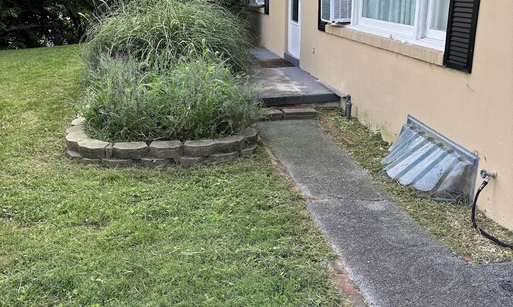 Moreno Fresh Cut’s Lawn Care