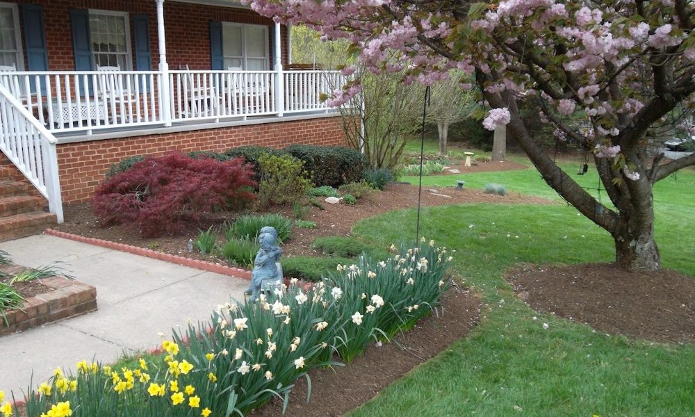 Morgan Lawn and Services