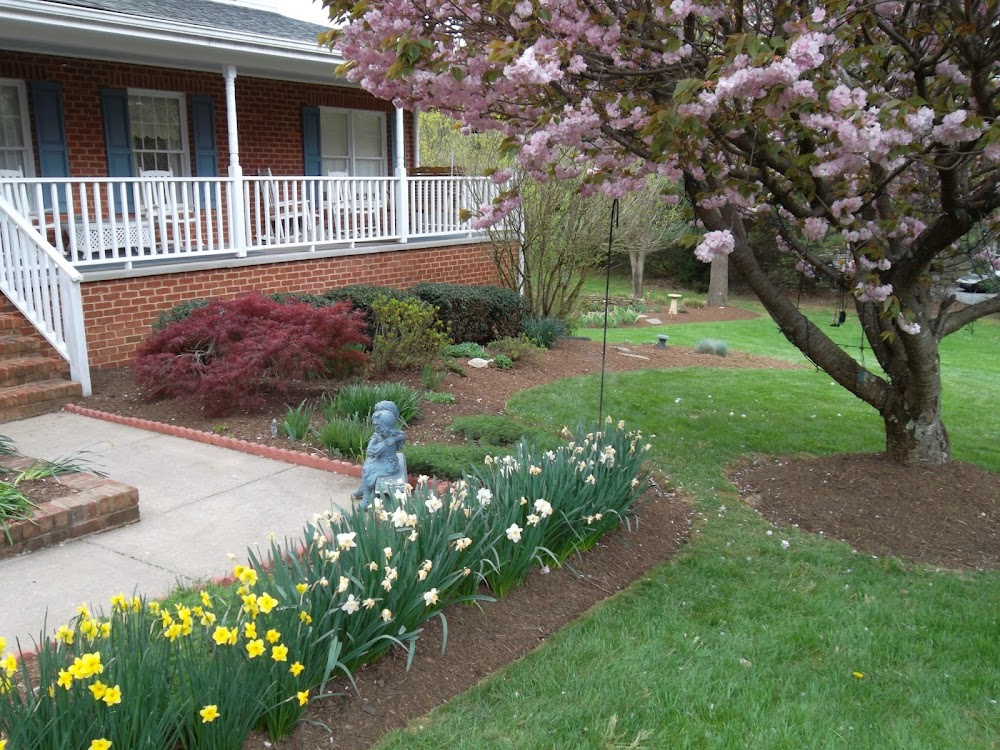 Morgan Lawn and Services