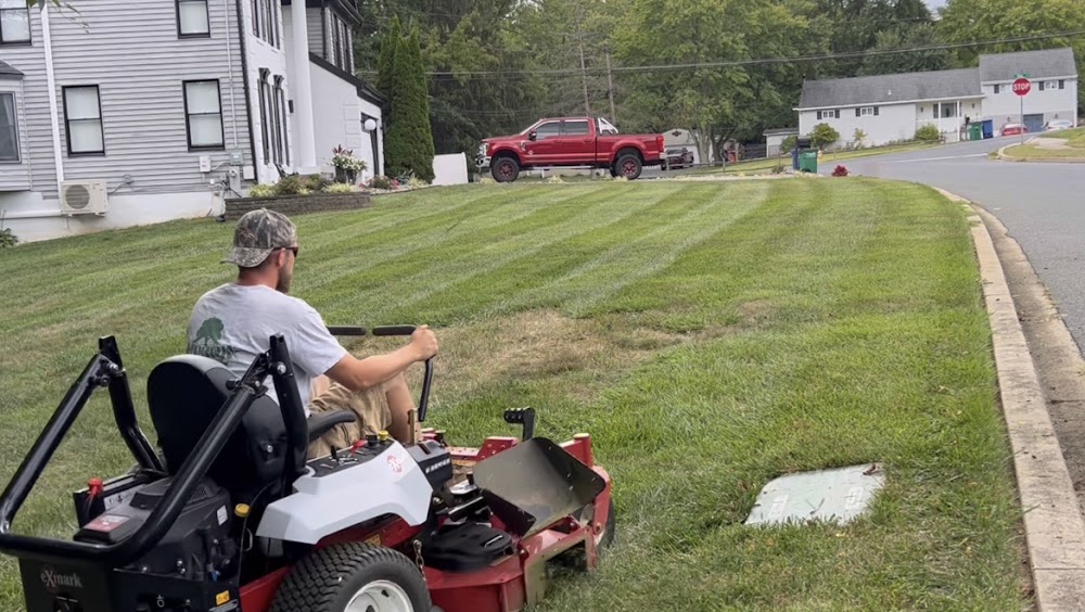 Morton Lawn & Landscapes