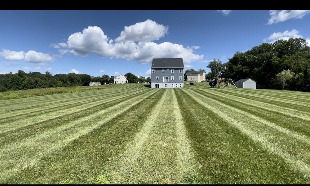 M&S Lawn Care