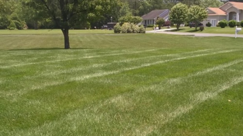 M&T Lawn Care.