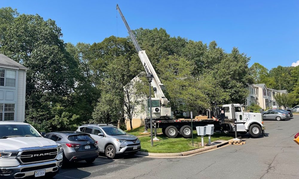 MTS-Pro Tree Service & Landscaping LLC