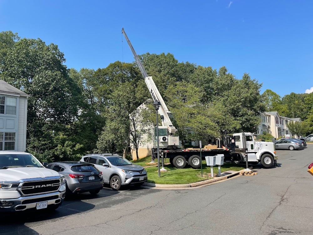 MTS-Pro Tree Service & Landscaping LLC