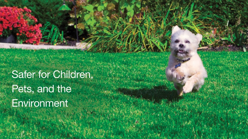 NexGreen Lawn and Tree Care