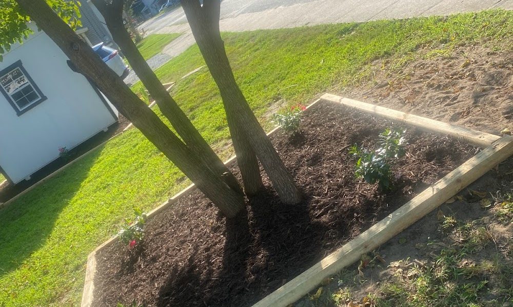 Nobles Professional Lawncare