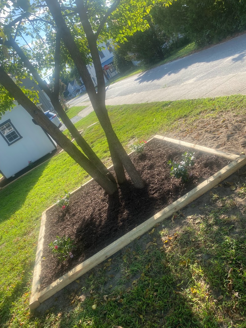 Nobles Professional Lawncare