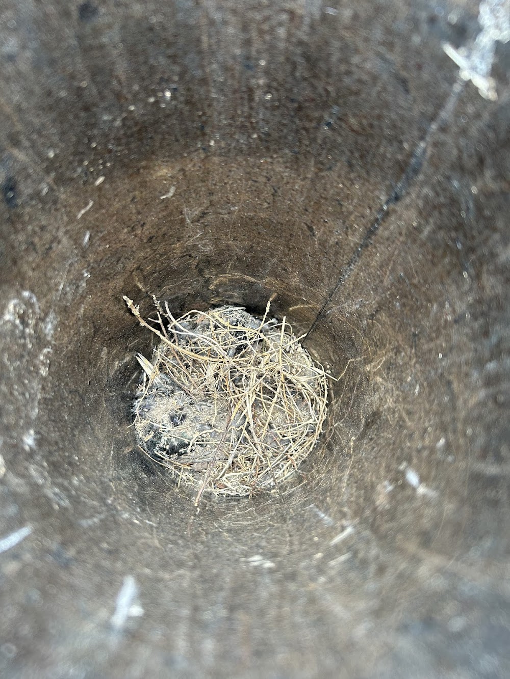 NOLA Air Duct Cleaning Service & Dryer Vent Cleaning Service, MD