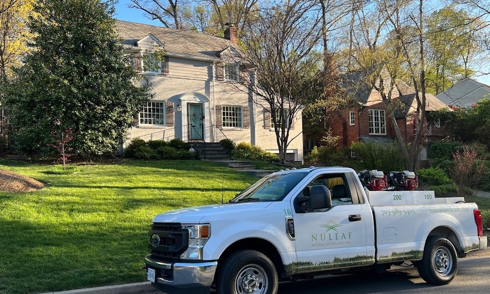 NuLeaf Lawn Care