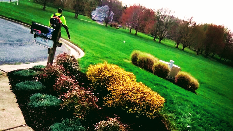 Oliveira’s Landscaping