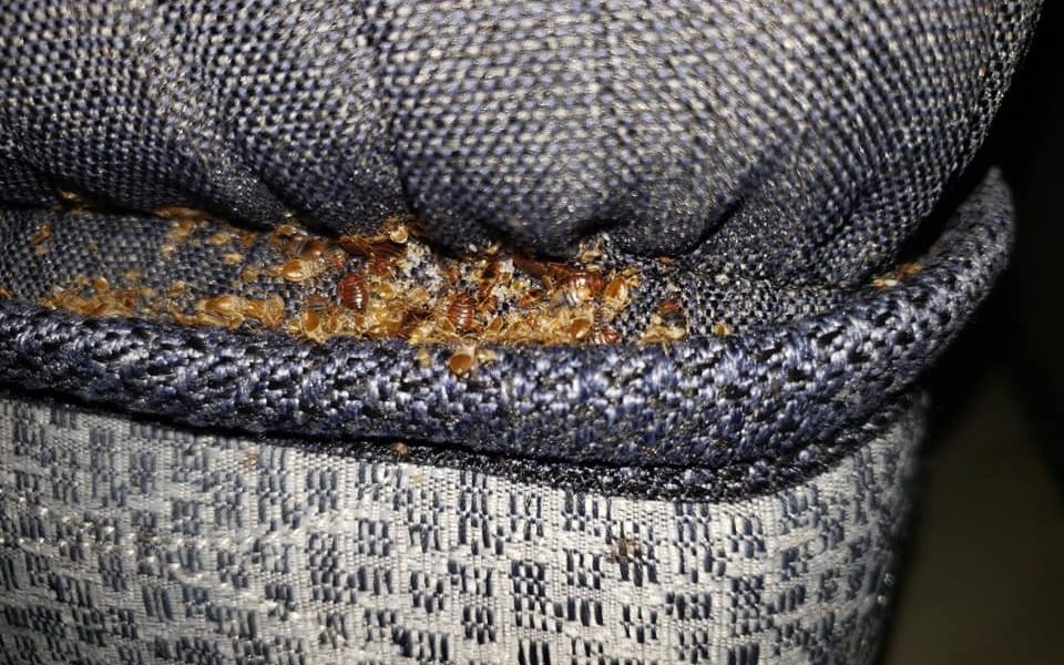 Omega Pest Control LLC