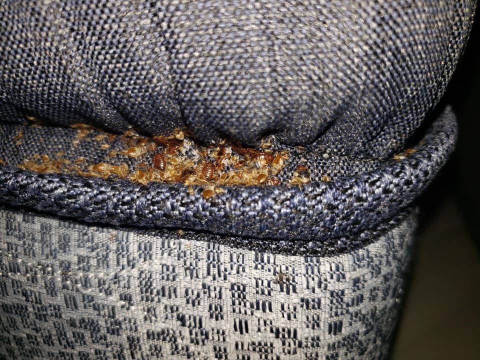 Omega Pest Control LLC