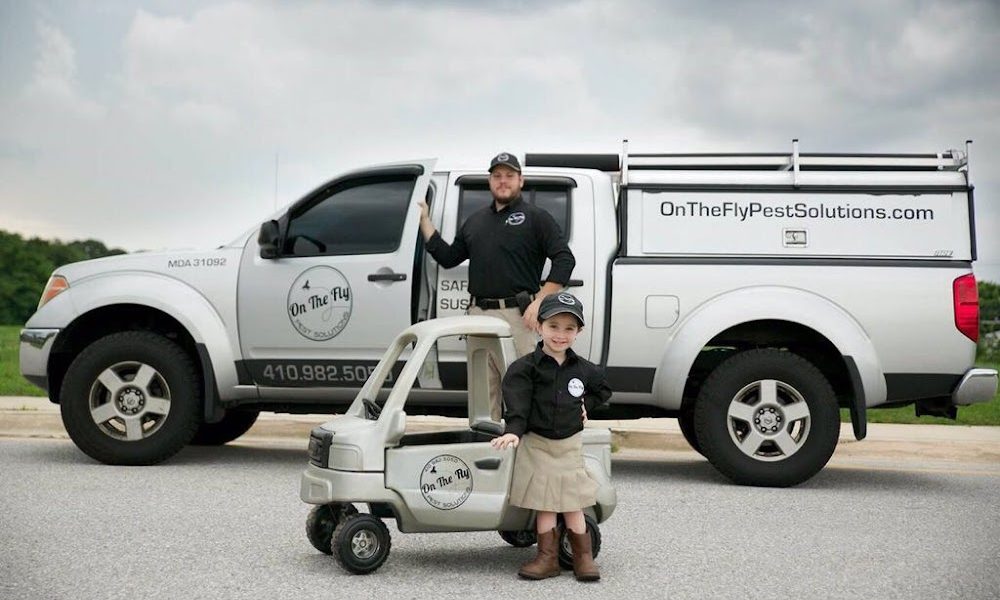 On The Fly Pest Solutions