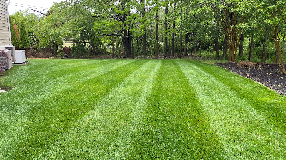 Organic Lawns