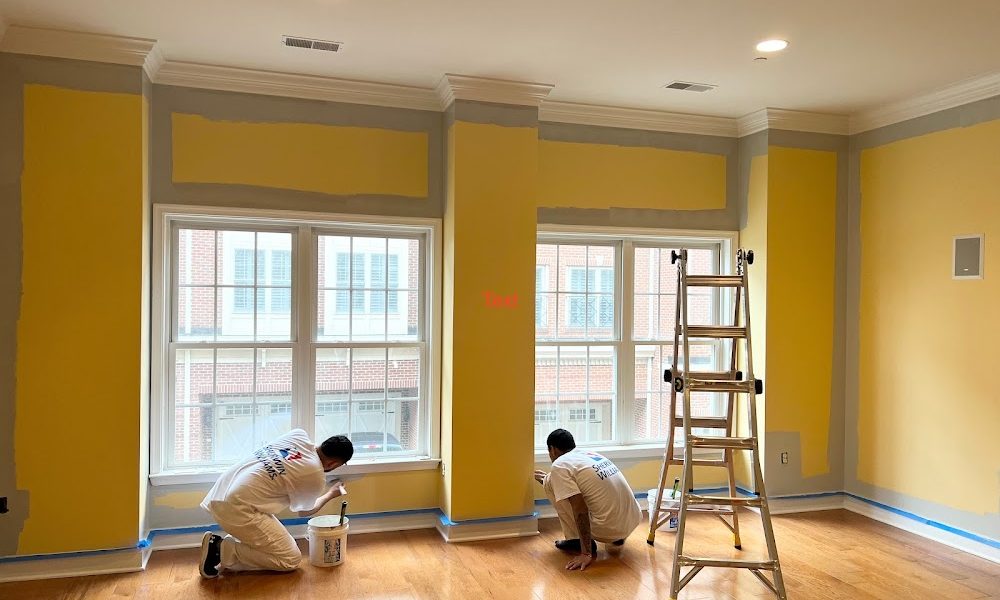 Paint Perfection