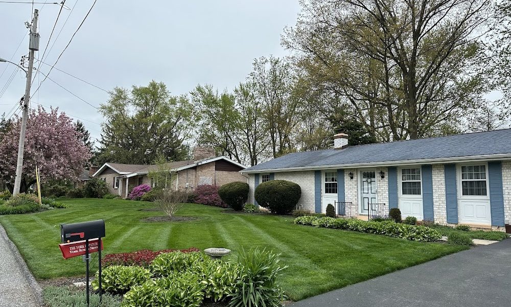 Palmer Landscaping and Lawn Care