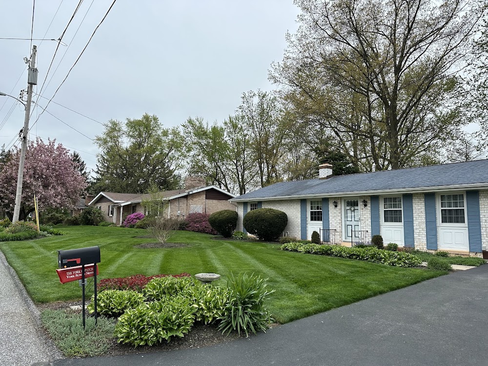 Palmer Landscaping and Lawn Care
