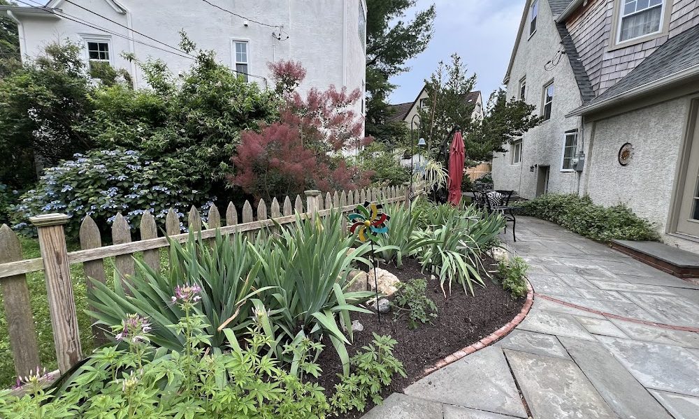 Patkin Landscaping