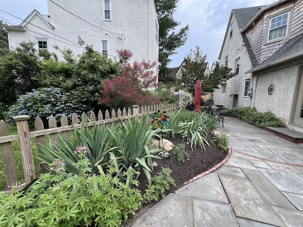 Patkin Landscaping