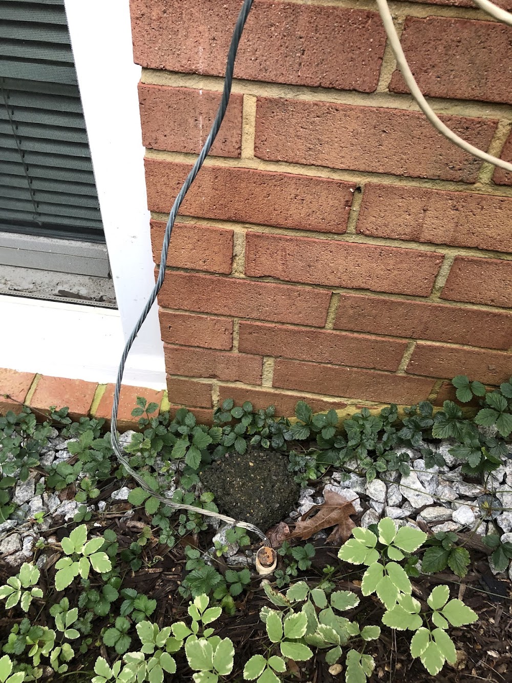 Pest Chase Termite and Pest Control Inc.