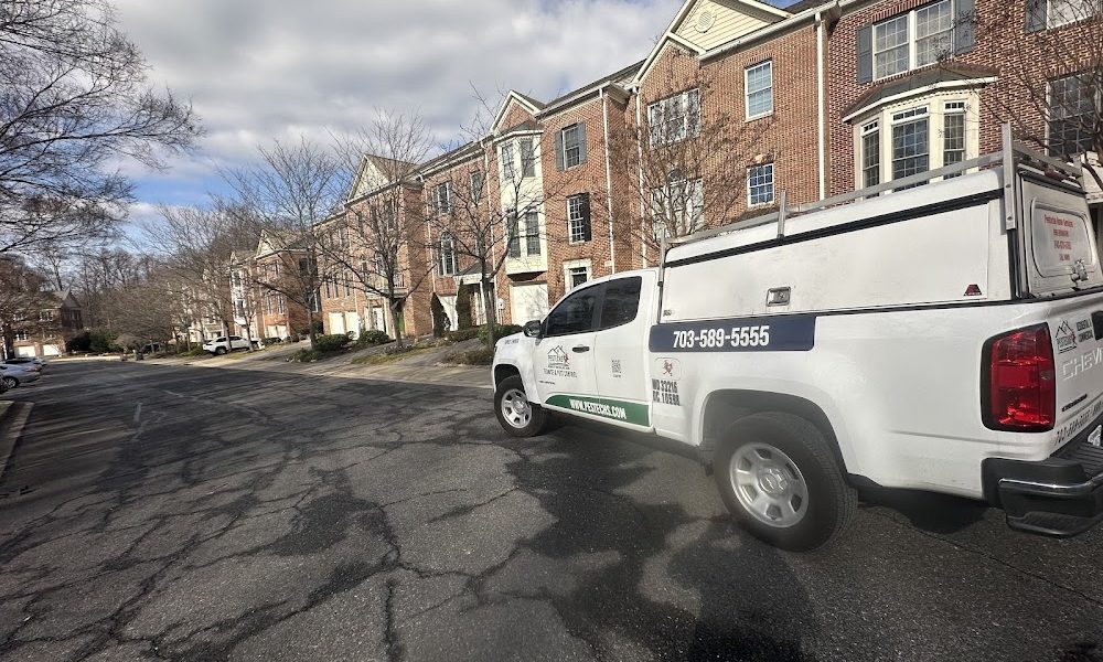 Pestechs Pest Control