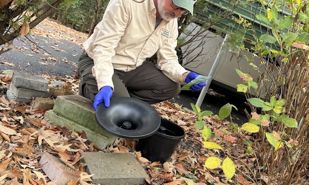 Planet Friendly Pest Control