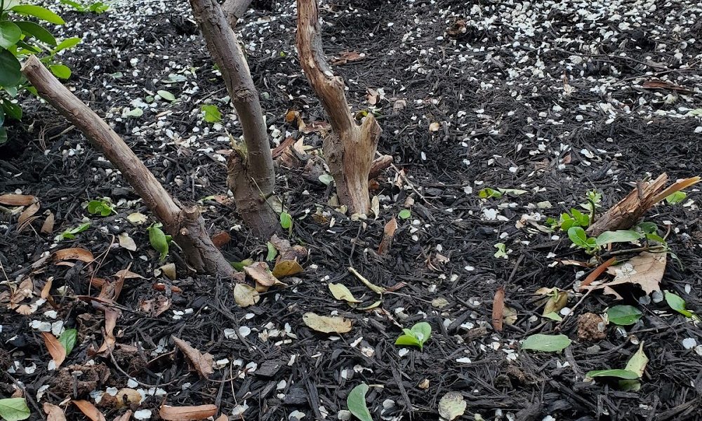 Precision Landscaping, LLC
