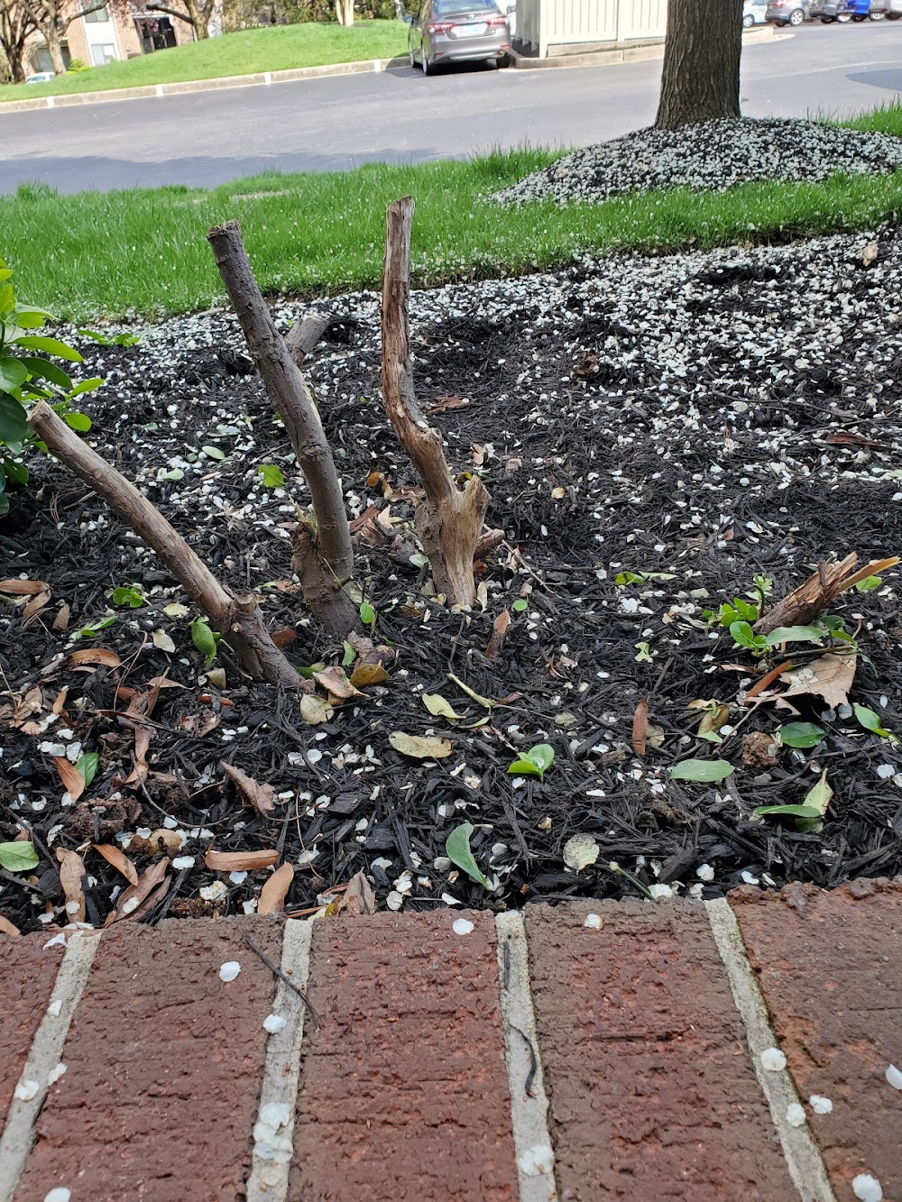 Precision Landscaping, LLC