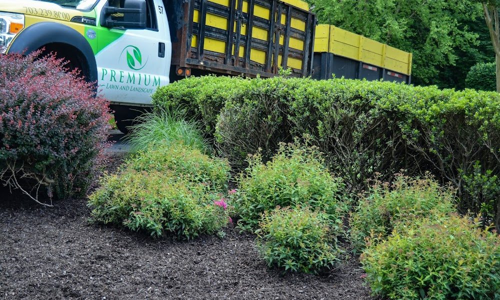 Premium Lawn & Landscape