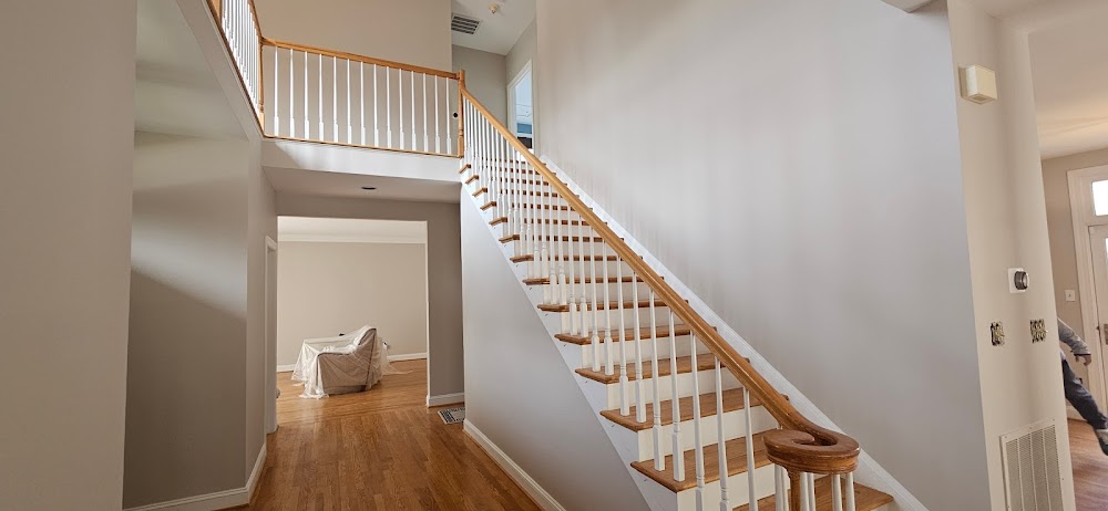 Premium Painters