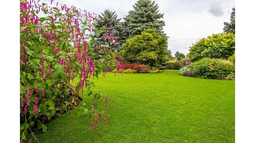 Prestige Lawn & Landscape