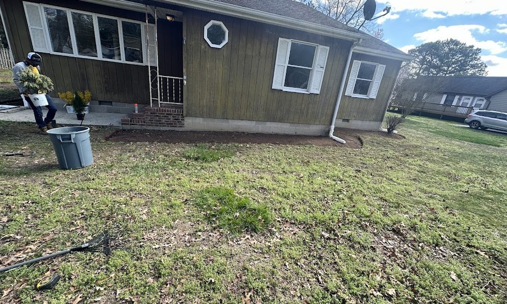 Primavera Lawn & Landscaping LLC