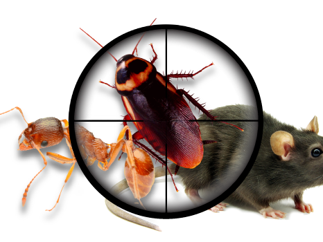 Primax Pest Control