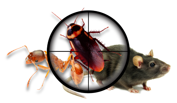 Primax Pest Control
