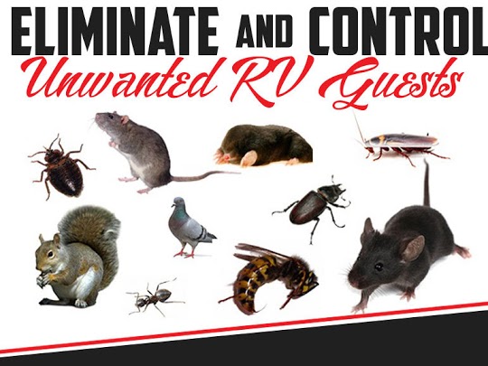 Primax Pest Control Services
