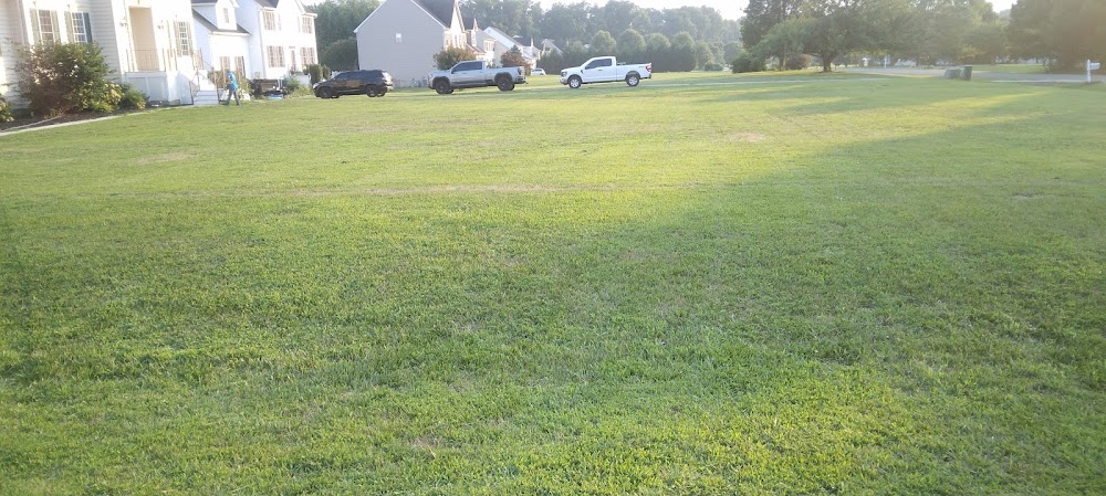 Primos Landscaping & Lawn Care Service LLC