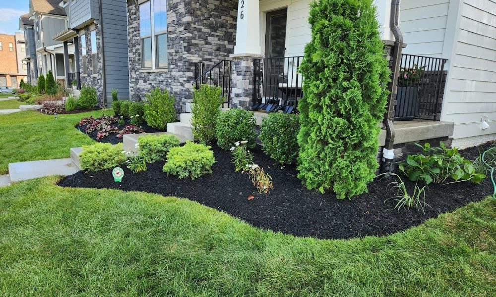 Pro Lawn Cuts LLC