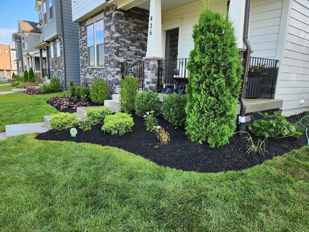 Pro Lawn Cuts LLC