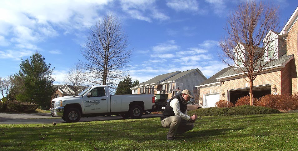 Pro Lawn Plus