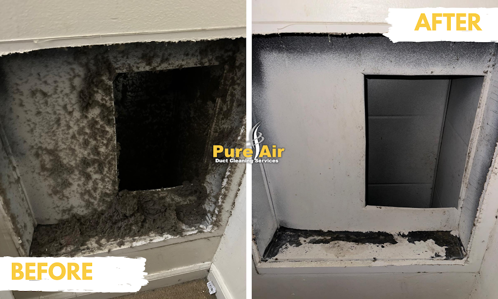 Pure Air Duct Cleaning Services