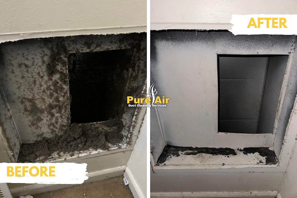 Pure Air Duct Cleaning Services