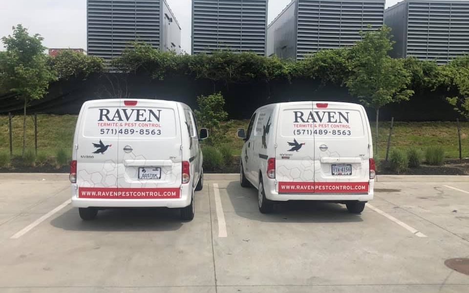 Raven Termite and Pest Control