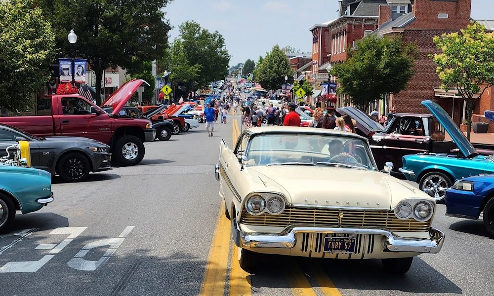 Real Kill Termite & Pest Control LLC