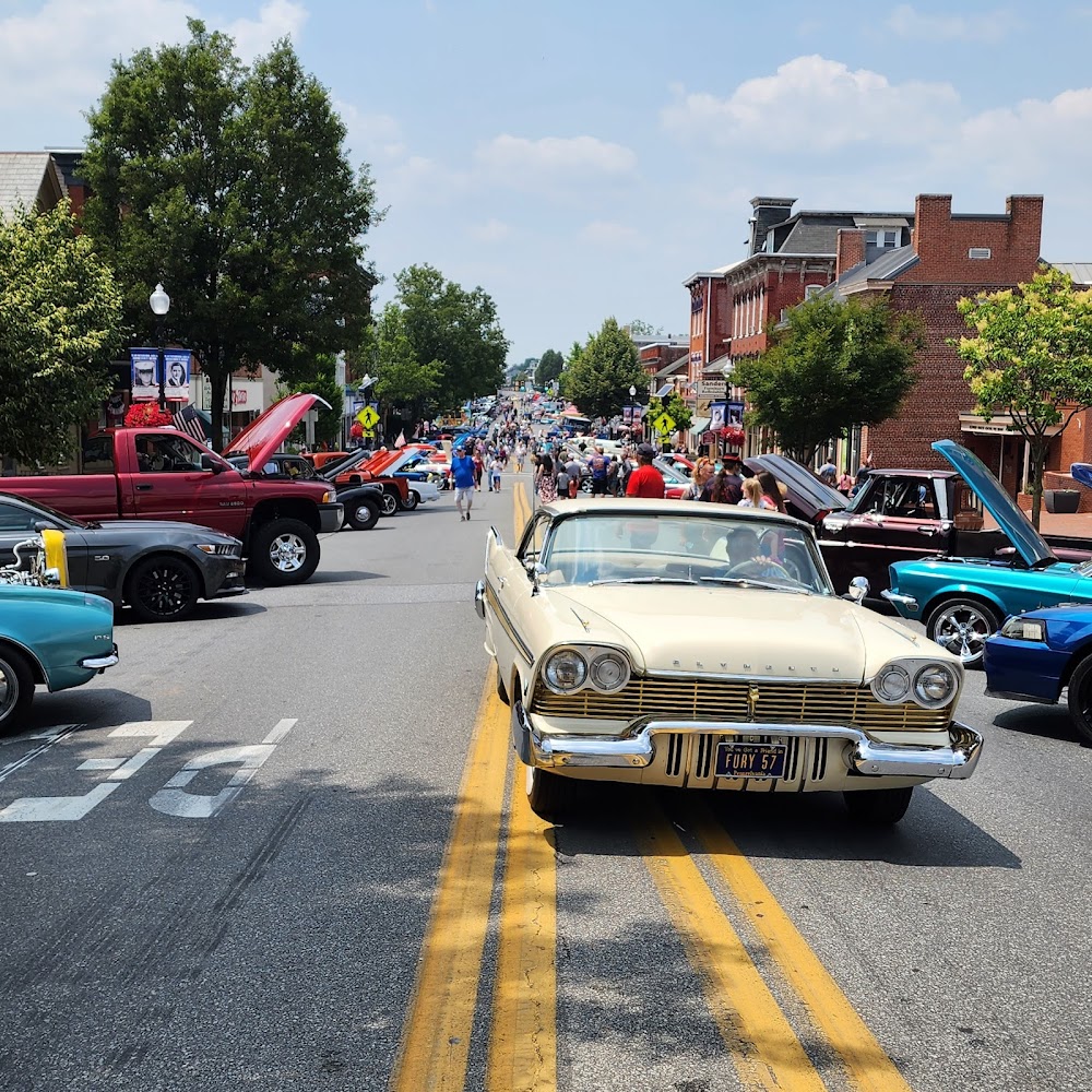 Real Kill Termite & Pest Control LLC