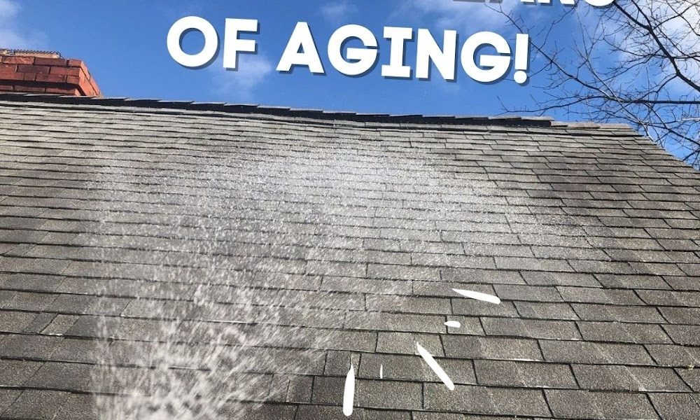 Roof Milk