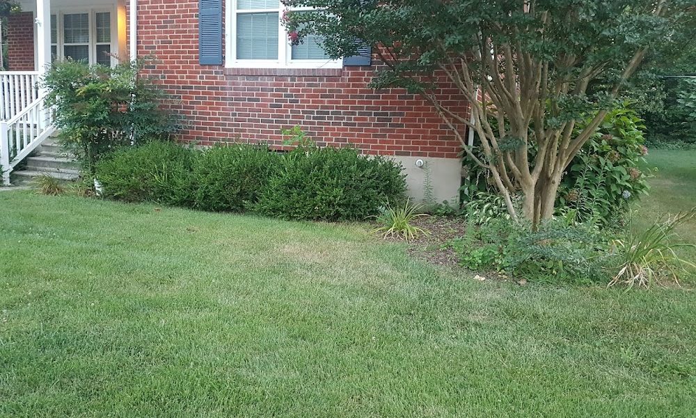 Santos Landscaping services