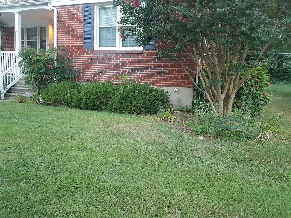 Santos Landscaping services