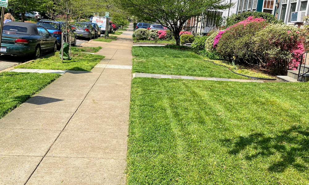Santos Lawncare Services